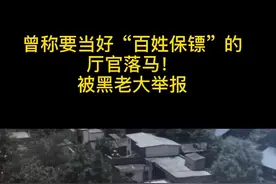 曾称要当好“百姓保镖”，退休厅官落马！被黑老大举报视频封面