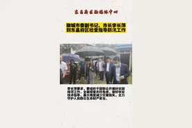 聊城市委副书记、市长李长萍到东昌府区检查指导防汛工作#防汛 视频封面