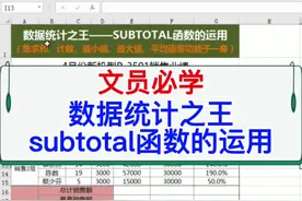 文员必学：数据统计之王subtotal函数的运用。#excel #office #wps #电脑 #办公技巧 #教程 #办公室视频封面