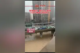 郑州陇海路京广路被淹 大批车辆堵在高架桥上#郑州暴雨 #堵车 #积水 视频封面
