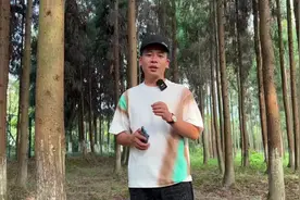 以后遇到小树林，不允许你们不会拍了#手机摄影 #拍摄小技巧