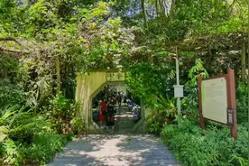 假如一觉醒来疫情已经结束，说走就走的旅行可以随时出发