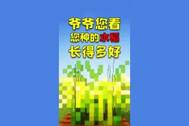 “禾下乘凉梦，丹心映青田” #世间再无杂交水稻之父  #我的世界视频封面