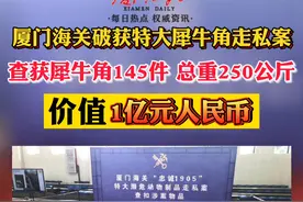全国最大！#厦门海关破获特大犀牛角走私案，现场查获#犀牛角 145件，价值约1亿元人民币！视频封面