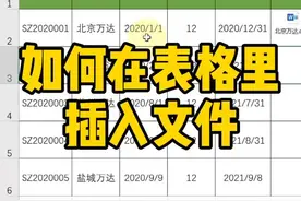 如何在表格里插入文件？#excel #办公软件技巧 #excel教程 #暑期知识大作战 #excel教学视频封面