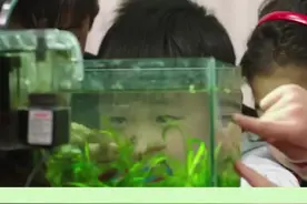 请各位用 （ 是  我的  小红 朋友） 造句视频封面