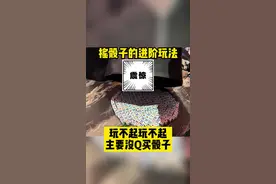 摇骰子的进阶玩法#人间奇趣记录仪 #高手 #神操作  