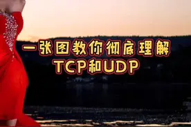 一张图让你彻底理解TCP和UDP的区别，再也不会用错了。#编程 #程序员 @抖音短视频