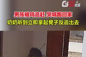 11月28日，安徽淮南。男孩被鸡追赶，吓得哭喊跑回家。奶奶见状抄起板凳立即冲出。孩子爸爸：小时候妈妈也是这样护我的。