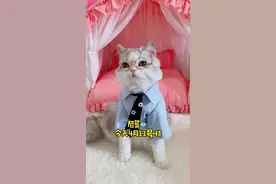 尼莫：你知道腻歪倒过来怎么读吗？#vlog萌宠日常 #宠爱里云社区视频封面