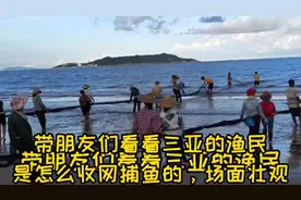 带带大家看看三亚的渔民是怎么收网打渔的，场面壮观视频封面