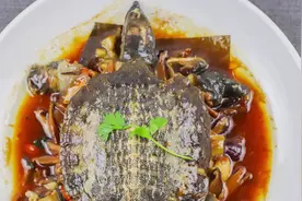 甲鱼如何在家做？厨师长详解操作技巧，肉质鲜嫩美味真好吃视频封面