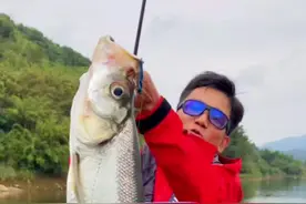 第26集｜连钓6条“米级”，老婆却说以后再也不准去钓鱼了！结果…#dou是钓鱼人 #入冬钓鱼指南 #野钓视频封面