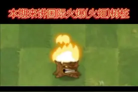 真香(这期为何如此鬼畜😭)(手动狗头)火炬树桩，国际真的强