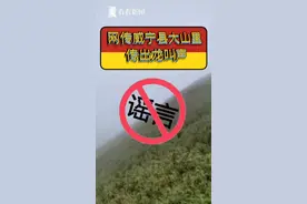 #贵州 大山传出“龙叫”？2名造谣者被行拘并录视频#道歉。#威宁秀水镇山体怪声 #黄脚三趾鹑 #谣言 #威宁视频封面