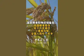 国家粮食和物资储备局：我国粮食库存处于历史高位，小麦库存够全国人民吃一年半