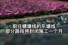 自驾“最美公路”的车主请注意!视频封面