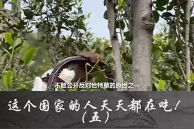 这个国家还有的救吗？#禁毒 #也门 视频封面