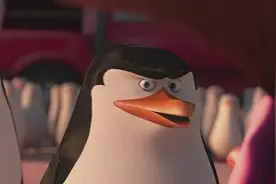 第6集大结局 #马达加斯加的企鹅  高清国语版  #经典动漫