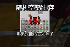 一直没流量#我的世界 @DOU+小助手 #我要上热门视频封面