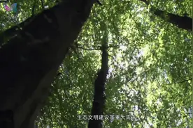 国家重点实验室系列：植被与环境变化国家重点实验室 #涨知识视频封面