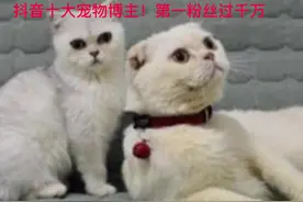 抖音十大宠物博主！第一粉丝过千万#萌宠 #神奇动物在抖音