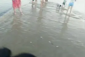 河南南阳唐河发大水了，大家快来看呀视频封面