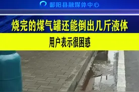 困惑+1视频封面