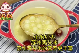 苏州鸡头米的200种做法，鸡头米早餐粥系列小米红枣鸡头米