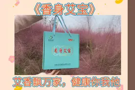 艾灸宝电加热艾绒艾草包盐袋热敷包   暖宫宝使用说明哦