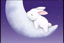 87年属兔的必看！说的太对了，过了34岁，明年春天就开始行大运啦视频封面