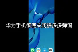 华为手机彻底关闭拼多多弹窗#手机技巧 #华为 #华为手机 #手机视频封面