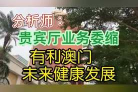 分析师：贵宾厅业务委缩，有利澳门未来健康发展        #澳门视频封面