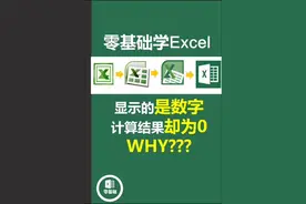 #零基础学excel 明明表格里是数字🔢，为何求和Σ📊📉结果都为0⃣视频封面
