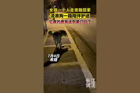 女孩一个人走夜路，偶遇喂过一次的流浪狗，一路护送她到家！#万物皆有灵性 #感人一幕视频封面