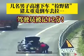 6月15日，#重庆几名男子高速倒车捡野猪，驾驶员被记12分！#重庆dou知道视频封面