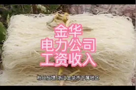 金华下属地区电力系统工作，工作第四年，含公积金全年收入30万视频封面