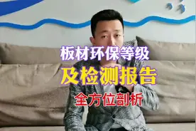 板材的等级：E1级、E0级、ENF级和F4星级哪个更环保