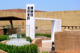黄河孕育生机，文物折射历史，麦穗延续苍生。待到云开疫散视频封面