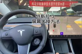 特斯拉model 3屏幕关掉方法。应大家要求分享视频。很简单的。