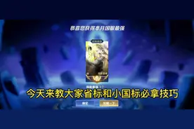 小国标省标数字标超详细的深度教学#王者#小国标#省标#国标 #上分