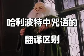#哈利波特 #配音对比 给大家整个咒语合集，你发现两岸翻译的规律了吗？视频封面