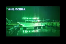 想知道为什么靠灯光可以诱捕到鱿鱼吗？那就来渔夫岛现场体验下