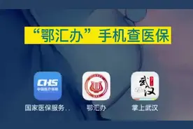 如何用手机查询个人:医保卡余额、消费明细、缴费情况， #医保视频封面