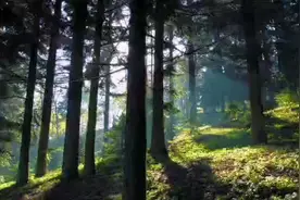 感兴趣吗？ 私聊15395617891 #为美好而来