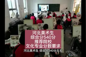 河北美术生综合分540分左右推荐院校和专业文化要求