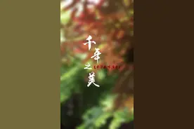 中华历代女性服饰演变#千年之美 #国风大赏  #国风合伙人视频封面