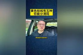 黄色标线有五种！你都能分清吗？一不小心被罚了！#每天一个用车知识 #交通规则 @DOU+小助手视频封面