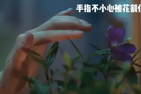 君爱我时我不知，我惜君时君别离，茫茫人海何为贵视频封面