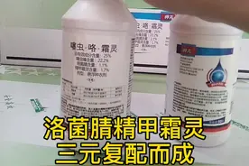 25%噻虫嗪 咯菌腈 精甲霜灵 花生根腐病蛴螬 悬浮种衣剂#拌种视频封面